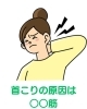 首こりの原因は○○筋！「首こりは背中から。上半身まるごと整えて根本改善」