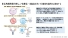 「自己免疫疾患の新しい治療法」