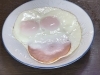 ハムエッグ「12月16日(火)14時OPEN！本日のおすすめはハムエッグ300円」