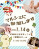 マルシェの告知「✨️マルシェ出店のお知らせ✨️」
