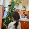 スタッフ急募✨クリスマスツリーの飾り付けを手伝ってください🙏