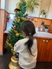 「スタッフ急募✨クリスマスツリーの飾り付けを手伝ってください🙏」