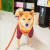うめちゃん「今日のお友達」