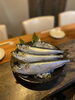 北海道産真いわし「鰯」