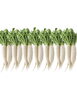 「栄養バランスもばっちり！お肉も野菜も楽しめる田中亭の定食」