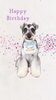 「Dog salon mofu mofu　余市町」