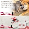 「【Yahooニュース】でもご紹介されました✨ふるさと納税【保護犬猫活動を応援するコラボ返礼品】」