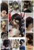 和装ヘアセット着付け「成人式(20歳のつどい)ヘアセット・着付け 1/11はご予約まだお取りいただけます」
