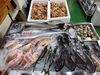「📣本日のお魚情報🐟」