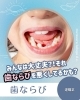 「歯ならびを悪くする5つの要因と、今日からできる予防の考え方」