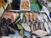 「📣本日のお魚情報🐟」