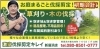 新居浜市　草刈り・芝刈り・防草処理サービス「本年も「激安草刈り伐採剪定キレイ新居浜店」は、新居浜市の皆様のお庭や空き地のお困りごとを、迅速・丁寧・安心価格で全力サポートいたします！」