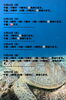 「🏝️ヤシの木接骨院の直近の空き枠🏝️」