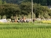 堅実、柔順、無償の愛「☆時の日和見〜毎日の時の力の使い方〜☆」