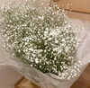 「かすみ草の大きな花束をボトルフラワーにお作りします♡【宮崎/ボトルフラワー/ドライフラワー/宮崎花束加工/宮崎生花保存】」