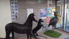 「鉄筋ホース藤枝警察署に展示！」