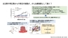 「カエル由来の細菌ががんを縮小？新しいがん治療の研究報告」