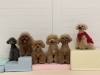 ハル♡もな♡くま♡とわ♡にこ♡はぴ「ましゅまろ幼稚園🐾」