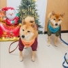 うめ＆まるちゃん「今日のお友達」