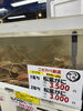 「12月24日からの松葉蟹🦀ラインナップなど、年末に向けてのお知らせ」