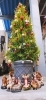 クリスマスツリー「Newクリスマスツリー🎄」