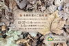 「冬季休業のご案内《福島市でエクステリアのことならグリーンライフ》」