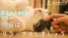 明日から仕事？でも今日はリラックスしましょう。「お正月から日常へ。気持ちを切り替える、1月4日の過ごし方」