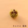 「上生菓子　きんとん　菓銘「栄松」」