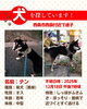 「【西条市西泉】迷い犬を探しています（不明になった日：2025年12月18日）」