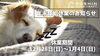年末年始休業のお知らせ「【SOSHIN HOME CRAFT】年末年始休業のお知らせ」
