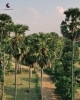 「【CAMBODIAN LIFE】年末のご挨拶」