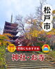 「松戸で初詣に行くならここ！松戸神社と本土寺のご紹介」