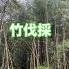 【🌿彦根市｜竹伐採を行いました】