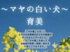 マヤ暦を受けてみませんか？「12月29日(日)マヤ暦を受けられます。」