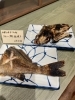 タカノハ鯛の塩焼き「12/28 おかんのごはん」