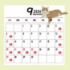 今月の営業日のお知らせです！【 Keytail ~ ｷｰﾃｲﾙ ~ 宮崎市 下北方町 オリジナル Tシャツ / ステッカー / グッズ / 写真プリント / イラストプリント 1点から 注文OK!】