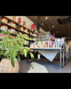 観葉植物のリースサービス「徳島市のペットフード専門店「ANIMAL BASKET」さんに観葉植物をレンタル設置しました」