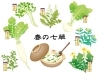 「🌱✨七草粥（ななくさがゆ）ってなに？✨🌱はじめてでもわかる！春の七草☘️せり・なずな・ごぎょう・はこべら・ほとけのざ・すずな（かぶ）・すずしろ（だいこん）を使用したおかゆ♪無病息災・健康長寿を願う日本の行事😊【お正月豆知識】」