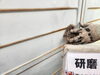 「徳島市での外壁塗装｜塗装前の研磨作業でしっかり下地づくりを行っています」