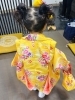 「問屋町レンタル着物TUZUMI　黄色のお着物でお姫様に変身♪ 年内のお支度が無事終了しました」