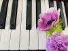 「ピアノ初心者が最初に練習すべき曲５選【大人編】」