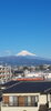 「新年のご挨拶と1月の営業について」