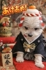 看板犬の小鉄「新年の御挨拶」