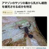 「アマゾン産サソリ毒から乳がん細胞を壊死させる成分を特定した研究」