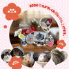 「【新年のご挨拶】2026年の展望」