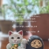 【新年のご挨拶】1月は足湯付き腸セラピーでお腹まわりからゆっくりケアしませんか？