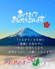 あけましておめでとうございます！「【2026年】1月3日初売り！福袋セールがオトク♡アニエスベーの“横顔美人”フレーム」
