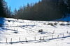 お花畑「ふっかふかの新雪はいかがですか。入笠山も一気に積雪UP！」