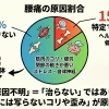 腰痛の85%は原因不明だった？/江別/はり・きゅうNAgomi
