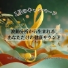 1月のキャンペーン「聴くたびに、整いを思い出すオーダーメイド音源」
